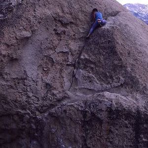 Meet your Posher, Cory